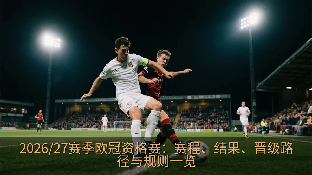 夜间足球比赛中的球场灯光与看台